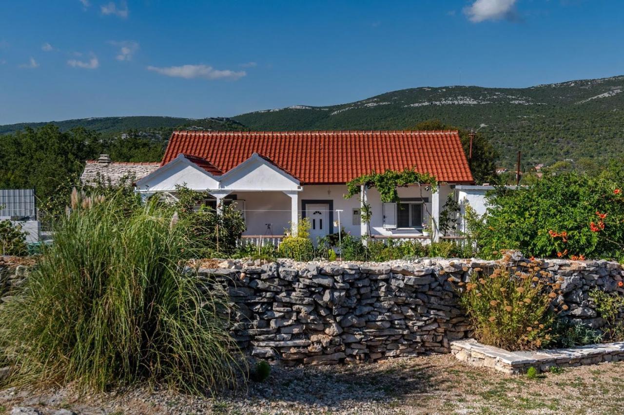 Villa House Camellia With Fenced Pool And Playground Blizna Donja Exterior foto